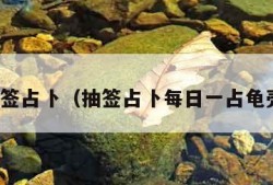 抽签占卜（抽签占卜每日一占龟壳）