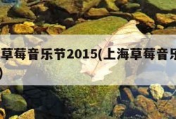 上海草莓音乐节2015(上海草莓音乐节2024)