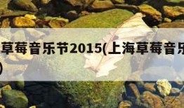 上海草莓音乐节2015(上海草莓音乐节2024)