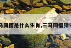 三马同槽是什么生肖,三马同槽猜生肖