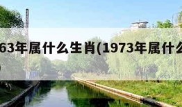 1963年属什么生肖(1973年属什么生肖)