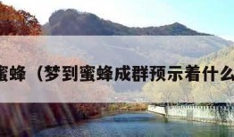 梦到蜜蜂（梦到蜜蜂成群预示着什么意思）