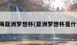 上海亚洲梦想杯(亚洲梦想杯是什么)
