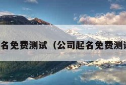 公司起名免费测试（公司起名免费测试打分）