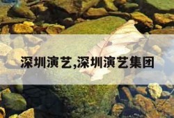 深圳演艺,深圳演艺集团