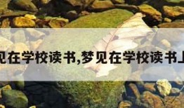 梦见在学校读书,梦见在学校读书上课