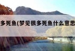 梦见很多死鱼(梦见很多死鱼什么意思周公解梦)