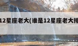 谁是12星座老大(谁是12星座老大排行榜)