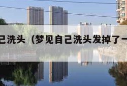 梦见自己洗头（梦见自己洗头发掉了一堆头发）