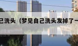 梦见自己洗头（梦见自己洗头发掉了一堆头发）