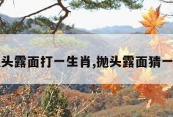 抛头露面打一生肖,抛头露面猜一肖