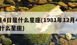 2月4日是什么星座(1981年12月4日是什么星座)