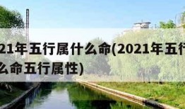 2021年五行属什么命(2021年五行属什么命五行属性)