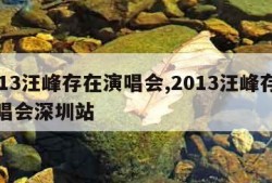 2013汪峰存在演唱会,2013汪峰存在演唱会深圳站