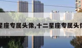 十二星座专属头像,十二星座专属头像霸气