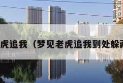 梦见老虎追我（梦见老虎追我到处躲藏害怕）