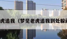 梦见老虎追我（梦见老虎追我到处躲藏害怕）