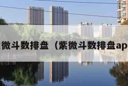 紫微斗数排盘（紫微斗数排盘app）