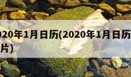 2020年1月日历(2020年1月日历表图片)