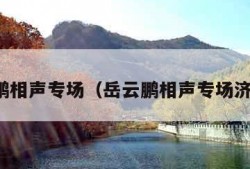 岳云鹏相声专场（岳云鹏相声专场济南站）