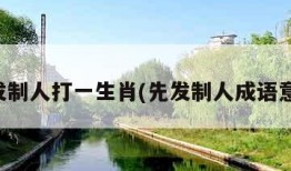 先发制人打一生肖(先发制人成语意思)