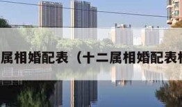 十二属相婚配表（十二属相婚配表相克）