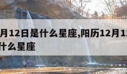 12月12日是什么星座,阳历12月12日是什么星座