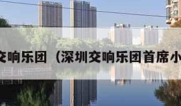 深圳交响乐团（深圳交响乐团首席小提琴）