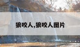 狼咬人,狼咬人图片