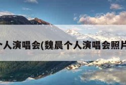 魏晨个人演唱会(魏晨个人演唱会照片高清)