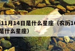 农历11月14日是什么星座（农历10月14日是什么星座）