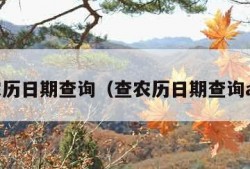 查农历日期查询（查农历日期查询app）