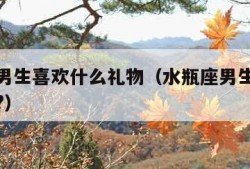 水瓶座男生喜欢什么礼物（水瓶座男生喜欢什么礼物?）
