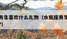 水瓶座男生喜欢什么礼物（水瓶座男生喜欢什么礼物?）