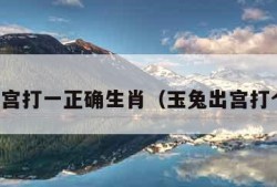 玉兔出宫打一正确生肖（玉兔出宫打个生肖）