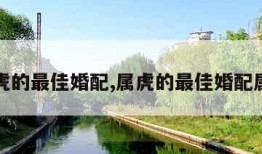 属虎的最佳婚配,属虎的最佳婚配属相