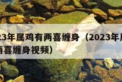 2023年属鸡有两喜缠身（2023年属鸡有两喜缠身视频）
