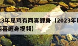 2023年属鸡有两喜缠身（2023年属鸡有两喜缠身视频）