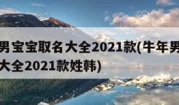 牛年男宝宝取名大全2021款(牛年男宝宝取名大全2021款姓韩)