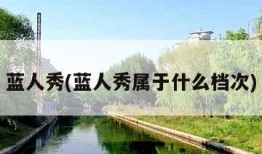 蓝人秀(蓝人秀属于什么档次)