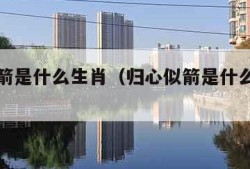 归心似箭是什么生肖（归心似箭是什么生肖动物）