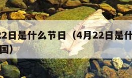 4月22日是什么节日（4月22日是什么节日中国）