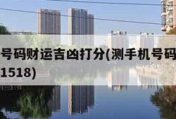 测手机号码财运吉凶打分(测手机号码财运吉凶打分1518)