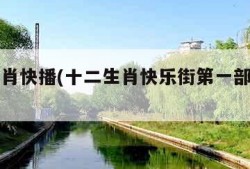 十二生肖快播(十二生肖快乐街第一部央视网)