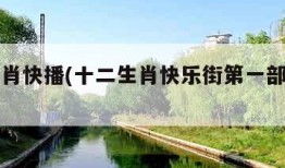 十二生肖快播(十二生肖快乐街第一部央视网)