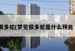 梦见很多蛇(梦见很多蛇是什么预兆 女性)