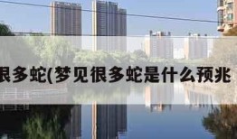 梦见很多蛇(梦见很多蛇是什么预兆 女性)