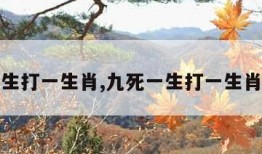 九死一生打一生肖,九死一生打一生肖是什么