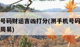 测手机号码财运吉凶打分(测手机号码财运吉凶打分周易)