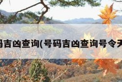 号码吉凶查询(号码吉凶查询号令天下)